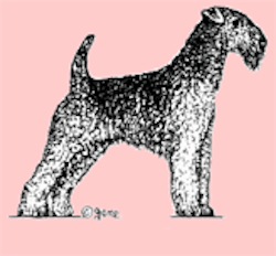 Stämpel – Airedaleterrier