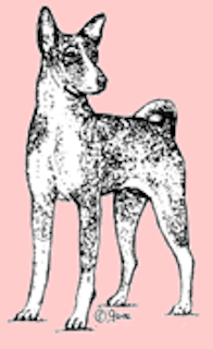 Stämpel – Basenji