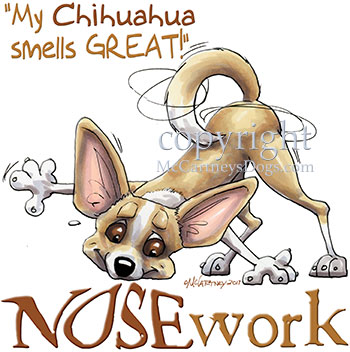Tygkasse, Nosework – Chihuahua