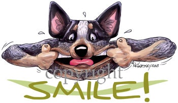 Tygkasse, Smile – Australian cattledog