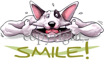 Tygkasse, Smile – Bullterrier