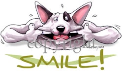 Tygkasse, Smile – Bullterrier