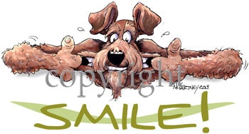 Tygkasse, Smile – Airedaleterrier