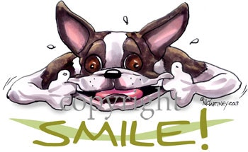 Tygkasse, Smile – Bostonterrier