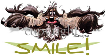 Tygkasse, Smile – Afghanhund