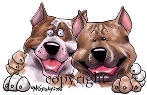 Tygkasse, Buddies – American staffordshire terrier