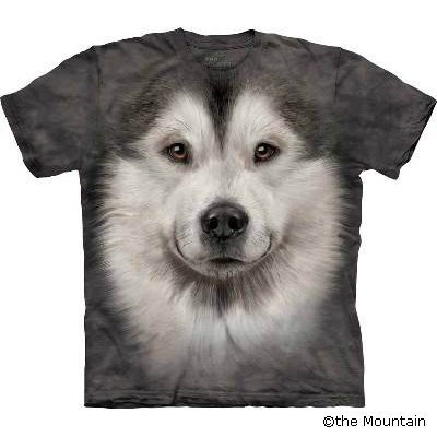 T-shirt FACE – Alaskan malamute