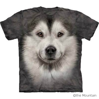T-shirt FACE – Alaskan malamute