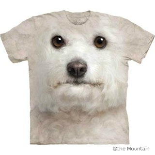 T-shirt FACE – Bichon frisé