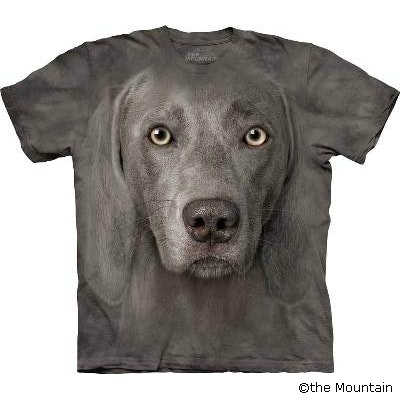 T-shirt FACE – Weimaraner