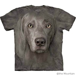 T-shirt FACE – Weimaraner