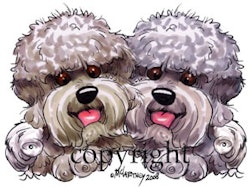 T-shirt Buddies – Dandie dinmont terrier