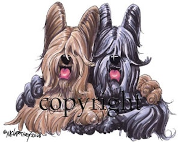 T-shirt Buddies – Briard