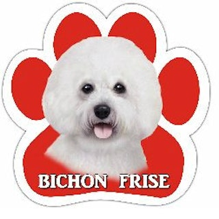 Bilmagnet, tass – Bichon frisé