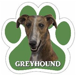 Bilmagnet, tass grön – Greyhound