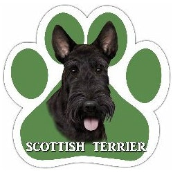 Bilmagnet, tass – Skotsk terrier