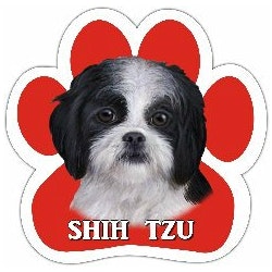 Bilmagnet, tass – Shih tzu