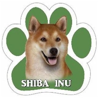 Bilmagnet, tass – Shiba
