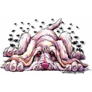 Mugg, Rug dog – Spinone