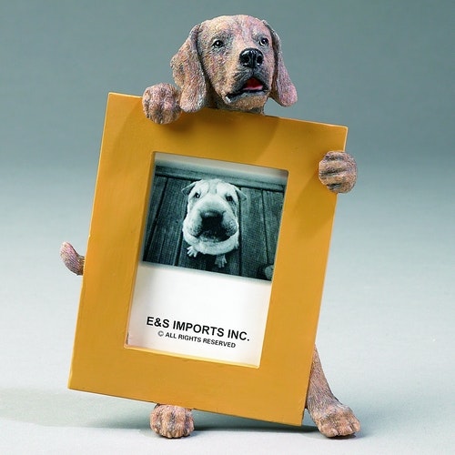 Fotoram – Weimaraner