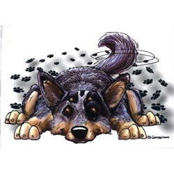 Mugg, Rug dog – Australian cattledog