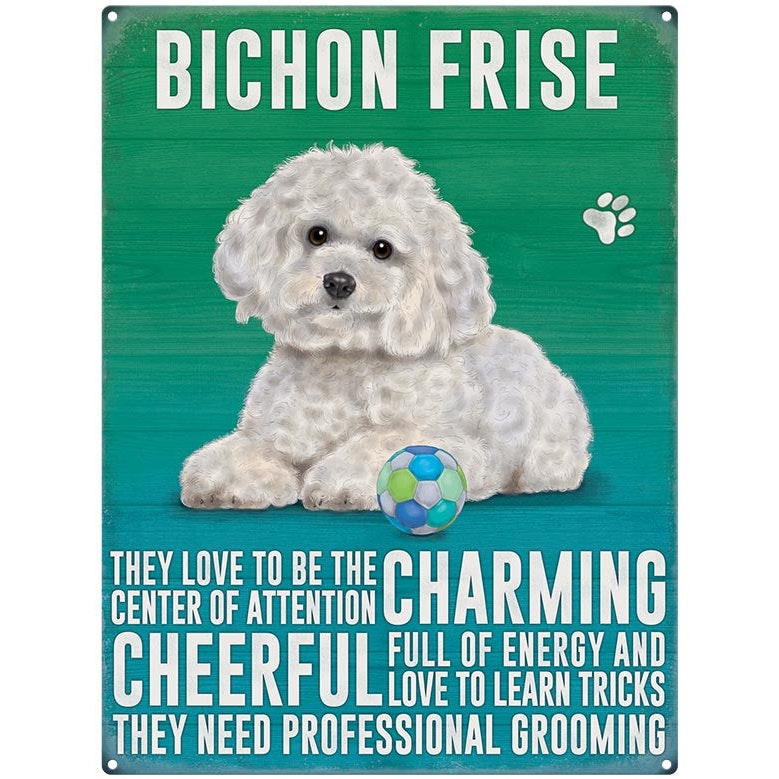 Skylt, metall – Bichon frisé