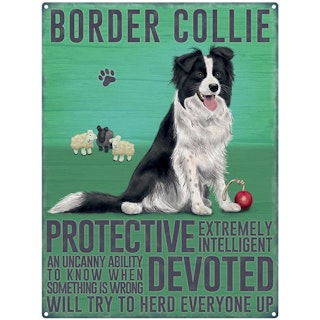 Skylt, metall – Border collie