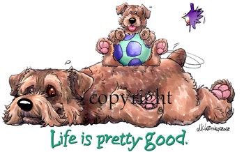 Tygkasse, Life is pretty good – Norfolkterrier