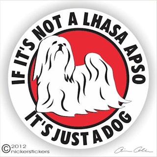 Dekal, If it's not a – Lhasa apso