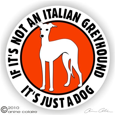 Dekal, If it's not a – Italiensk vinthund