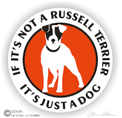 Dekal, If it's not a – Jack russell terrier