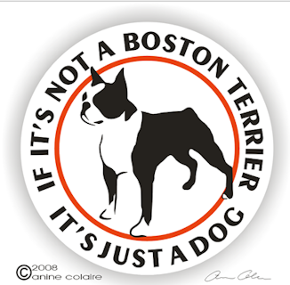 Dekal, If it's not a – Bostonterrier