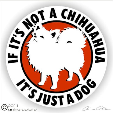 Dekal, If it's not a – Chihuahua, långhårig vit