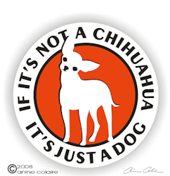 Dekal, If it's not a – Chihuahua, korthårig