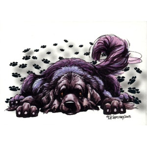 Mugg, Rug dog – Newfoundlandshund