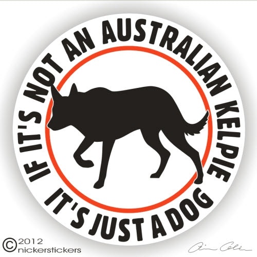 Dekal, If it's not an – Australian kelpie