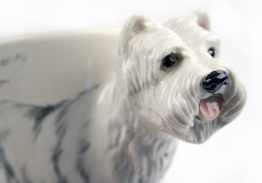 Mugg, Blue Witch – West highland white terrier