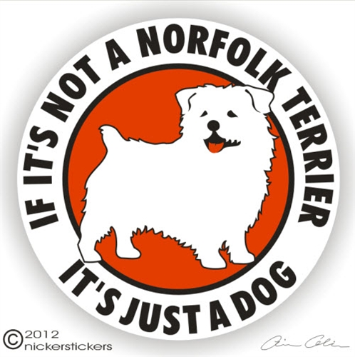 Dekal, If it's not a – Norfolkterrier
