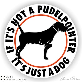 Dekal, If it's not a – Pudelpointer