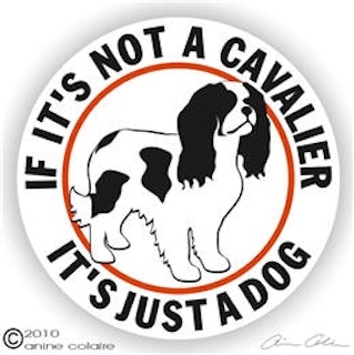 Dekal, If it's not a – Cavalier king charles spaniel, svart höger
