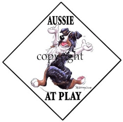 Skylt "At play" – Australian shepherd, trefärgad