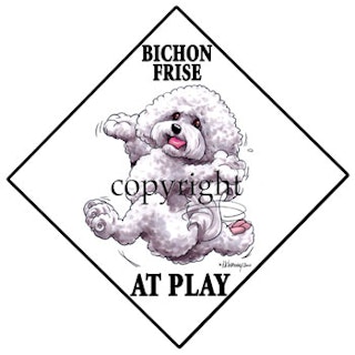 Skylt "At play" – Bichon frisé