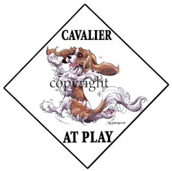 Skylt "At play" – Cavalier king charles spaniel