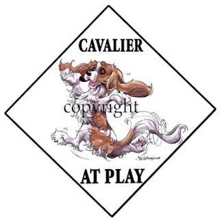 Skylt "At play" – Cavalier king charles spaniel