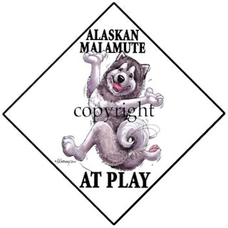 Skylt "At play" – Alaskan malamute