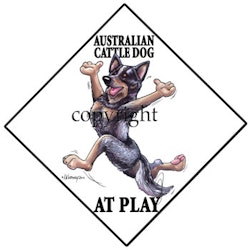 Skylt "At play" – Australian cattledog