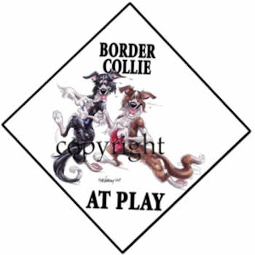 Skylt "At play 2" – Border collie