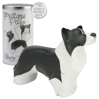 Figurin, Arora – Border collie