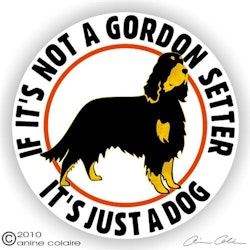 Dekal, If it's not a – Gordonsetter