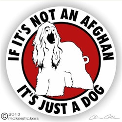 Dekal, If it's not a – Afghanhund